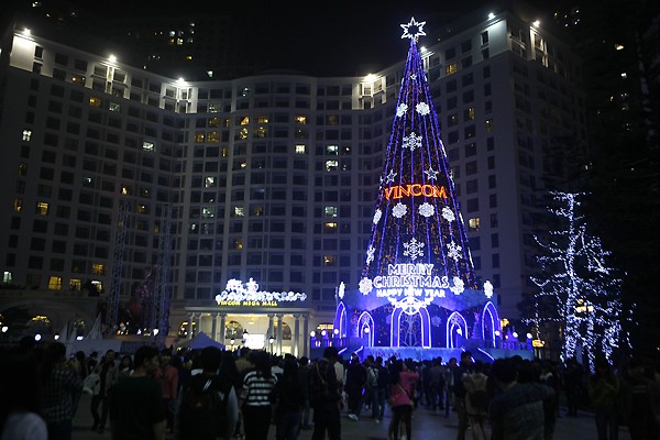 cây thông giáng sinh