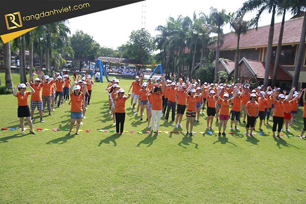 Tổ chức teambuilding 